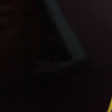 Load image into Gallery viewer, Tomson TGF351 Dove Copy 1970's Natural MIJ Japan Kiso Suzuki