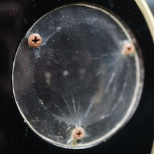 Load image into Gallery viewer, Greco EG-600B Single Cut Custom 1976 Ebony MIJ Japan FujiGen