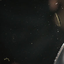 Load image into Gallery viewer, Fender Jaguar '66 Reissue JG66-85 1999 Black CIJ Japan