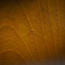 Load image into Gallery viewer, Ibanez Dyuke ID80 1989 Brown Sunburst MIJ Japan FujiGen