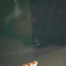 Load image into Gallery viewer, Greco TRH-60 Sprit Energy 1987 Black MIJ Japan JV