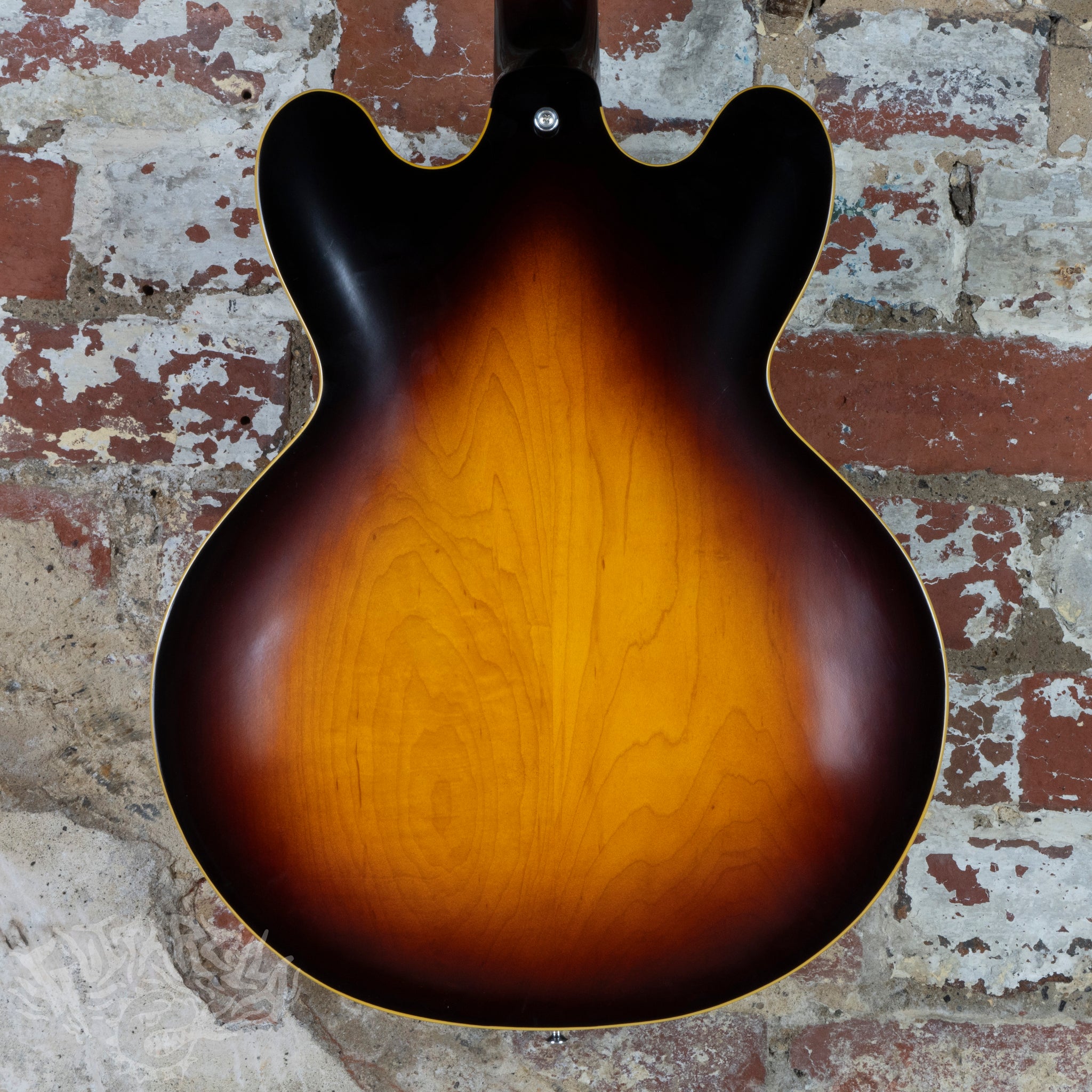 EDWARDS　E-FT-115S Edwards E-SA-160 LTS 2023 Tobacco Sunburst MIJ Japan – Guitarzilla